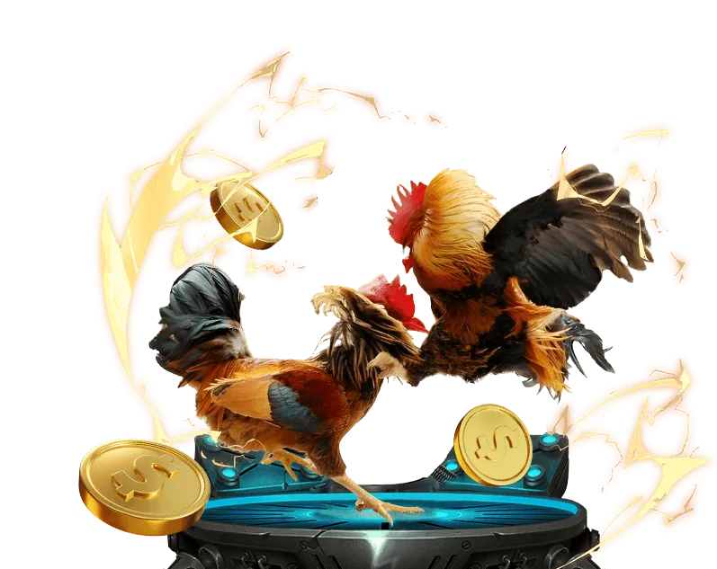 Hình ảnh minh họa quyền và nghĩa vụ của người chơi juun88